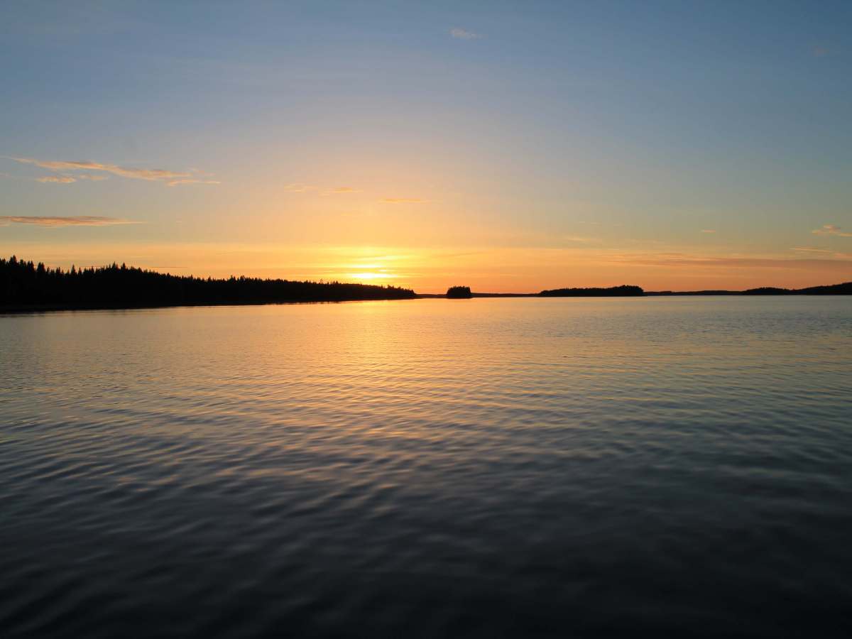 Universaali ansioturva